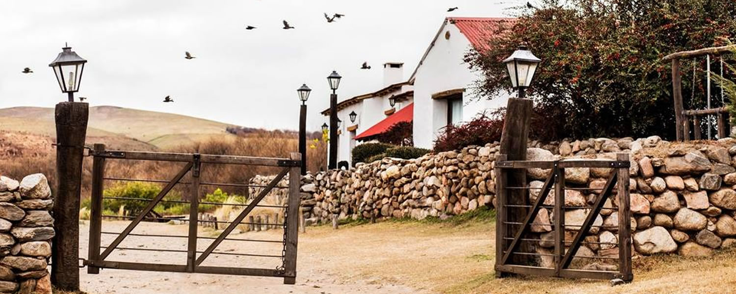Caminatas por los alrededores de la estancia